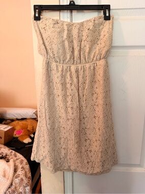 Espresso Strapless Lace Dress in Beige